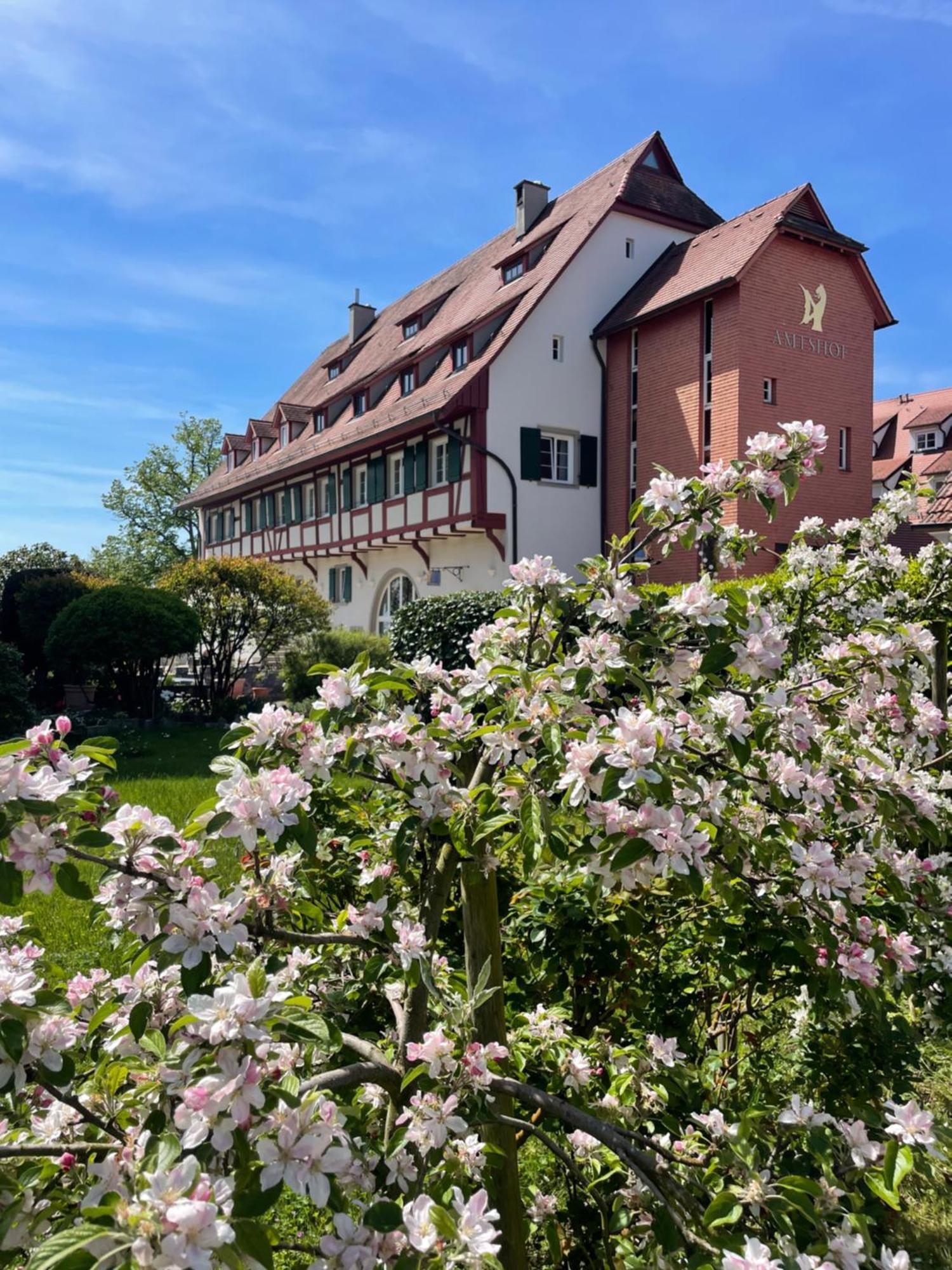 Seehotel Amtshof Langenargen Extérieur photo